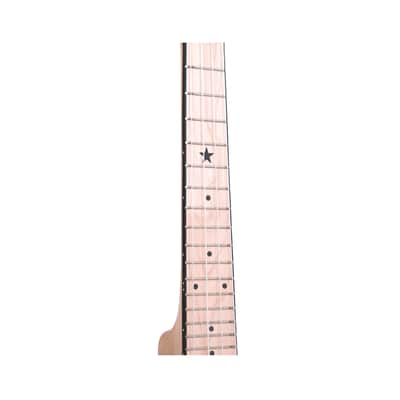 Gold Tone Little Gem See-through Banjo Ukulele (Sapphire) with Gig Bag Nylon Strings Maple Neck and Fingerboard image 6