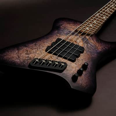 Dingwall D-Roc Custom 5 2025 - Trans Black Burst image 1