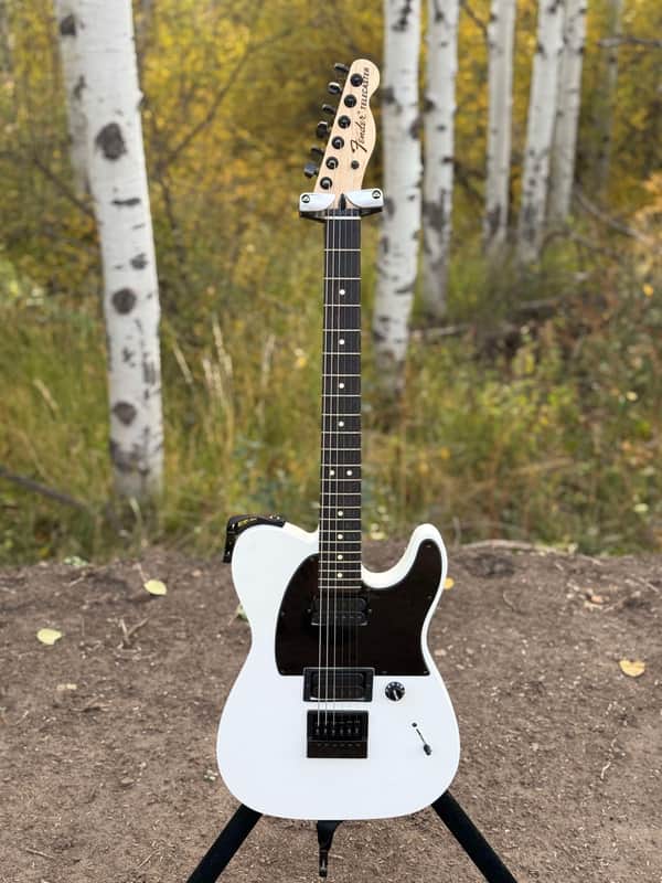EVERTUNE Fender Jim Root Signature Telecaster
