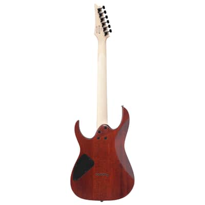 Ibanez RG Series RG421S Electric Guitar - Sea Shore Matte image 3