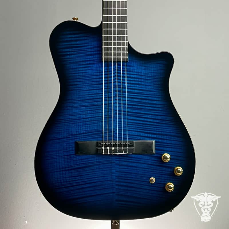 Carvin NS1 nylon guitar with Roland GR-30 Synth image 1