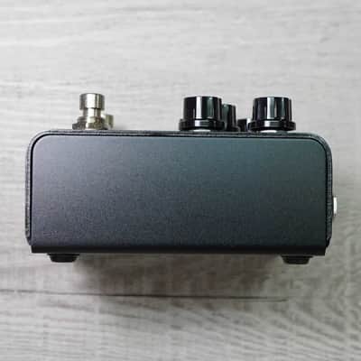 Strymon IRIDIUM image 3