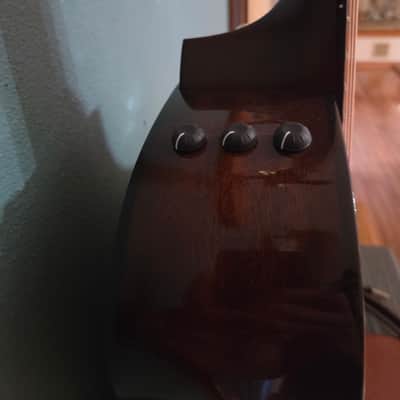 Taylor 50th Anniversary 312ce LTD 2024 - Shaded Edgeburst image 4