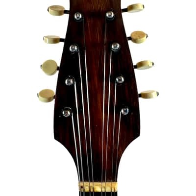 Neapolitan Mandolin G. Kasermann Style 1920's image 11