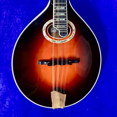 Michael Kelly MK-AO Oval-Hole A-Style Mandolin — Recent Luthier Setup image 4