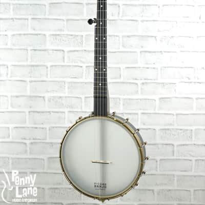 Pisgah Woodchuck 5-String 12" Open Back Banjo with Gig Bag image 1