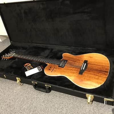 Godin Hardshell Case #007028 - Fits A6, A12, Encore, SA & Duet, Multiac Ambiance, ACS, & A11, A-6, A-12 image 1