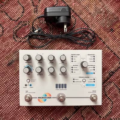 Hologram Electronics Microcosm | Reverb