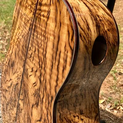 Stephen Kinnaird Sitka/Oregon Myrtle SJ 2018 Clear image 7