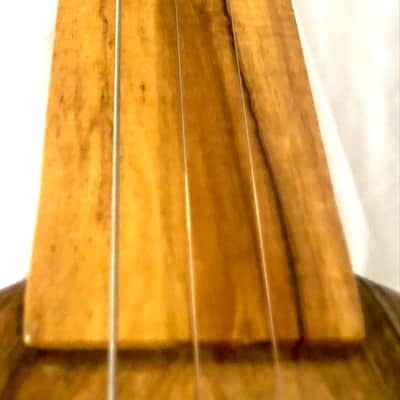 3 string Turtle shell slide guitar image 6