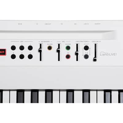 Korg L1LIVE Liano Live Digital Piano with Microphone image 4