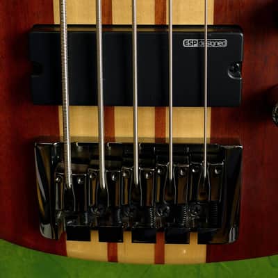 ESP LTD B-5E Neck-thru active 5-string bass (Mahogany top version) image 9