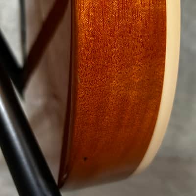 Gibson Les Paul Deluxe Les Paul 100 Anniversary Gold Top image 9