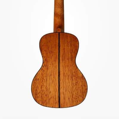 Immagine Kala KA-STG Solid Spruce Top Tenor Ukulele - 2
