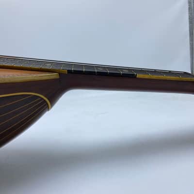 Lyon & Healy Beatle Back Mandolin Bowl Back image 8
