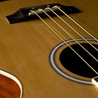 Washburn Acoustic Bass AB5 Natural w/Gigbag image 4