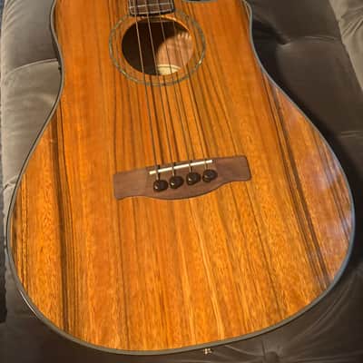 Fender Victor Bailey Signature Acoustic-Electric Bass (VB-NAT) – Mint/Collector Condition 2010 image 2