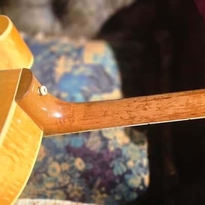 Epiphone Broadway E252 1961 - 1969 Natural image 3
