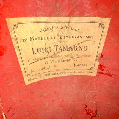 Mandoline de Concert Luigi Tamagno de 1904 image 16