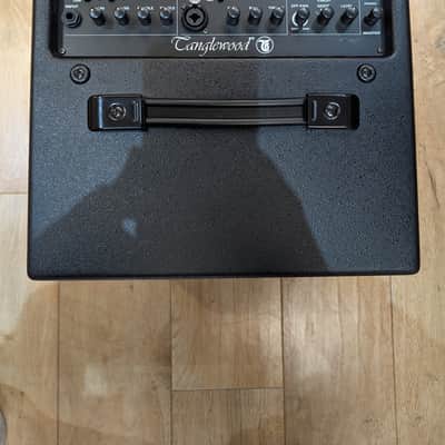 Tanglewood T6 Twin Channel 60w 1x10" Acoustic Combo Amplifier image 2