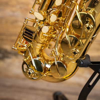 Buffet 100 Series Alto Saxophone in Lacquer image 5