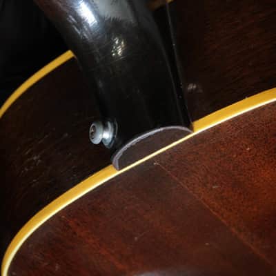 Epiphone Cortez FT-45N 1962 - Natural image 8