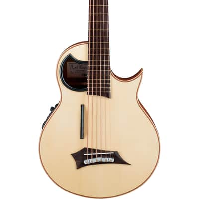 Warwick Alien 6-String Acoustic Bass Acoustic Bass image 1