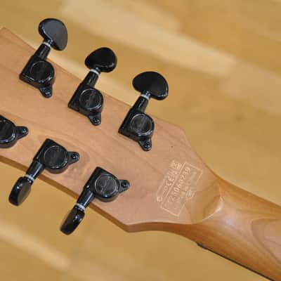 SCHECTER Solo-II Standard OBB Ocean Blue Burst Burl / Les Paul type / Solo-II / ST25060239 imagen 13