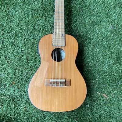 Mitchell MU50SE Acoustic Electric Ukelele image 1