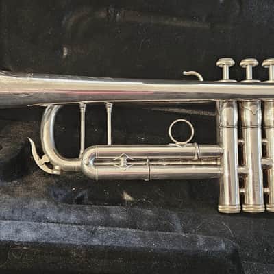 Shires Q10 2019 - Silver Plate - Immaculate image 3