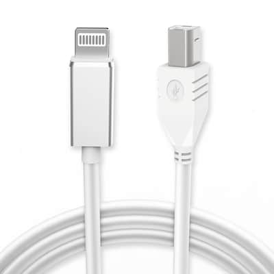 Lightning to MIDI Cable for iPhone/iPad, 3.3FT Lightning to Type B Cord for iOS Devices to Electronic Music Instrument, Piano, Midi Controller, Midi Keyboard, Audio Interface Recording image 1