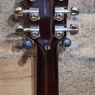 2007 Washburn WI66PROF Idol Professional image 7