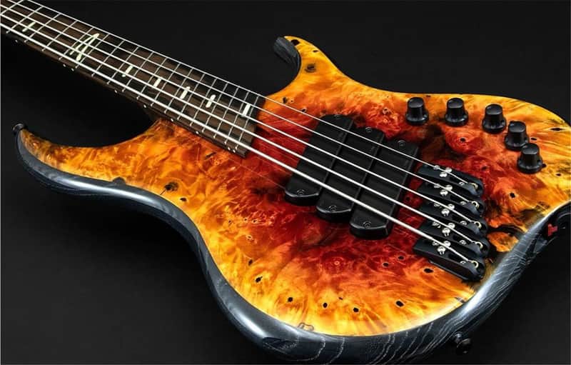 Dingwall Custom Shop Z3X-5 Buckeye Burl Dark Red to Orange RevBurst image 1