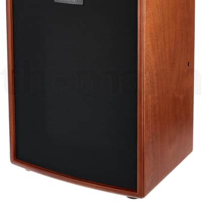 Hughes & Kettner ERA2 | 400-watt Acoustic Amplifier, Wood Finish. New!