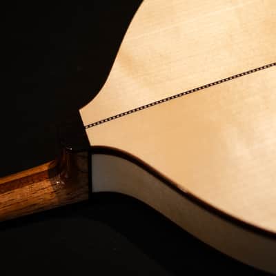 Pedro Santos 8-String Mandolin | Brazil 2024 image 7