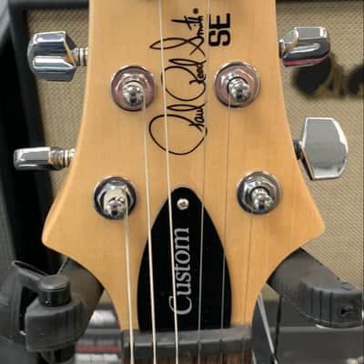 PRS SE "Exotic" Custom 24 Burled Swamp Ash Limited Edition - Natural image 8