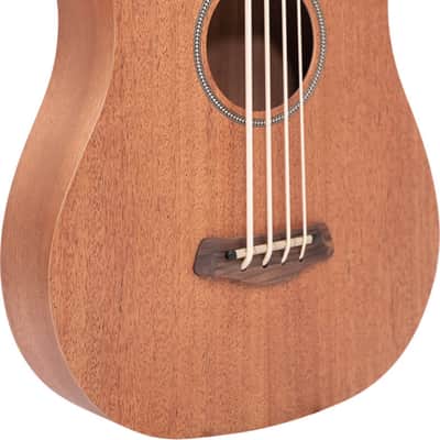 Gold Tone M-Bass25FL Fretless Short-Scale 4-String Acoustic-Electric Bass Guitar, Mahogany Top image 1