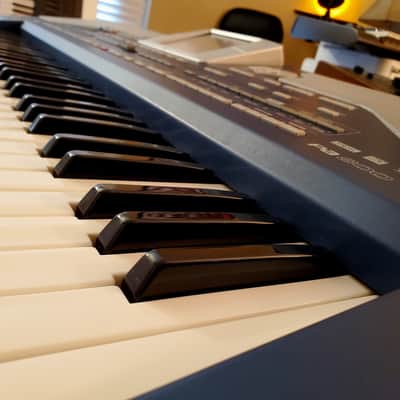MUST SEE!!! KORG PA800 with LATIN/S American pack FULLY SERVICED, IN AMAZING CONDITION! image 4
