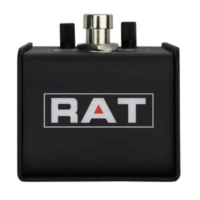 ProCo Lil' Rat image 4