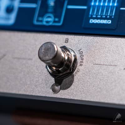 Darkglass Anagram Bass Multi-Effects Pedal image 6