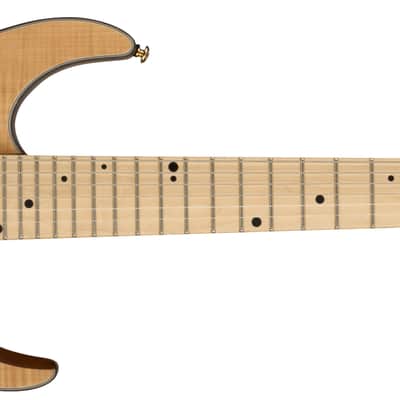 Charvel Angel Vivaldi Sig Pro-Mod DK24 GT7 HH Maple FB Nova-7 with Bag image 1