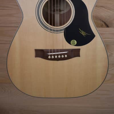 Maton JR Signature 2024 - Tasmanian Myrtle/Spruce image 2