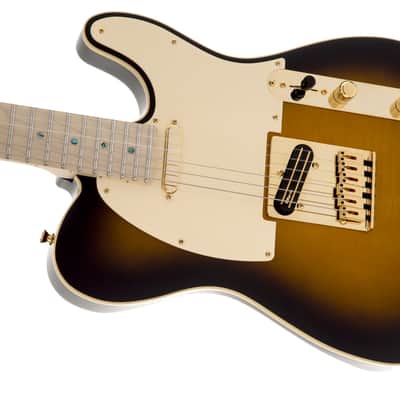 Fender Richie Kotzen Telecaster Electric Guitar. Maple FB, Brown Sunburst image 14