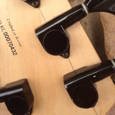 Immagine DeArmond Pilot 5 String Bass - Worldwide Shipping - 13