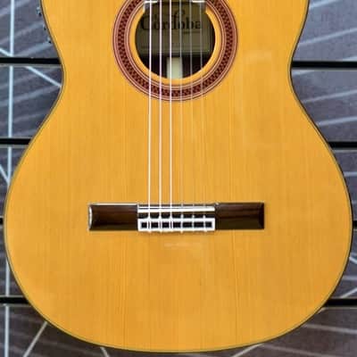 Cordoba Iberia C7-CE-Cedar Electro Nylon Guitar image 6