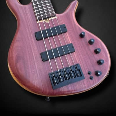 Elrick EVO Gold 5 String Purpleheart 2025 - Natural image 4