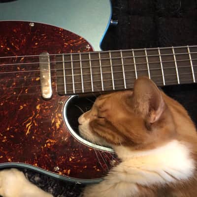 MJT Telecaster 2017 Aged lake placid blue image 4
