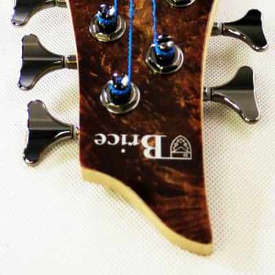 Brice Brice Freak-Out Bass 535 String Burl Brown image 4