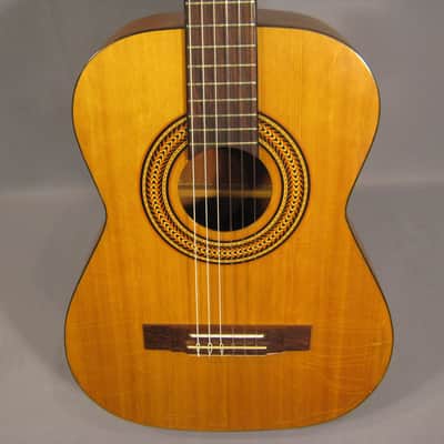 Rare 1968 Supro Classical Acoustic Guitar with Case image 3