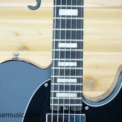 Schecter PT-Ex - Dorian Grey image 3